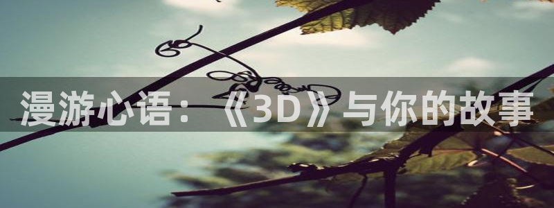 动漫之家历史版本