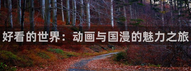 动漫之家其它动漫