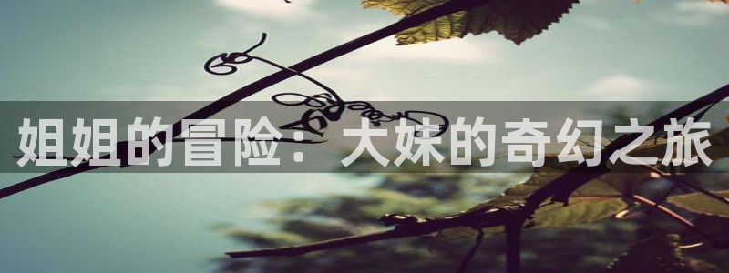 动漫之家破解版永久