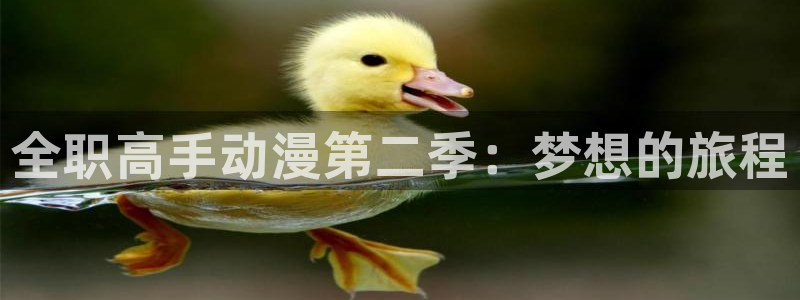 d动漫之家