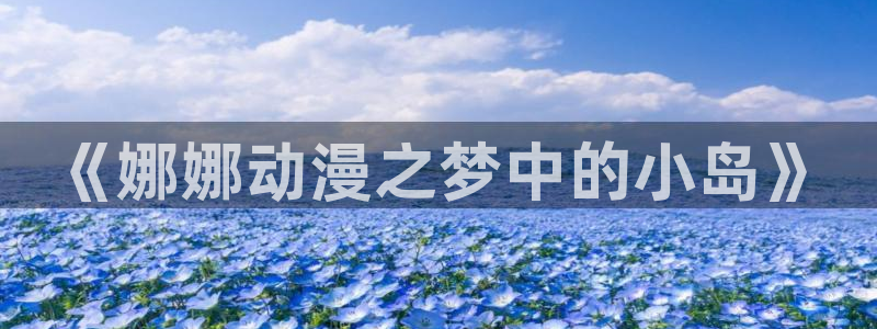 动漫之家安装包
