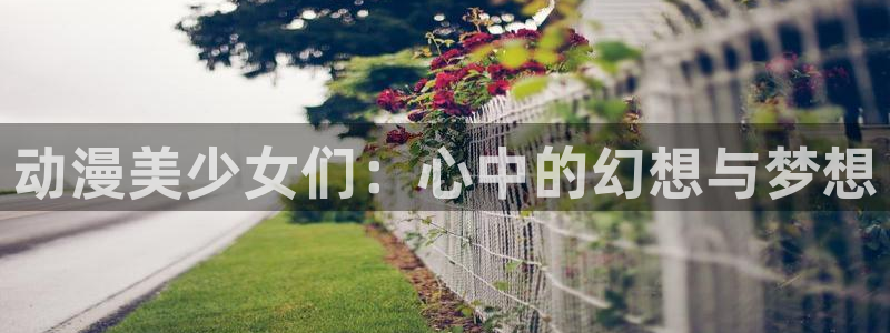 动漫之家 网页版