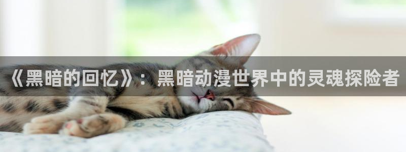 动漫之家吧