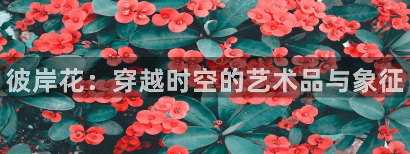 动漫之家apk