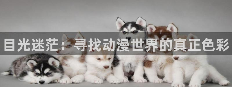 风车动漫之家官网：目光迷茫：寻找动漫世界的真正色彩